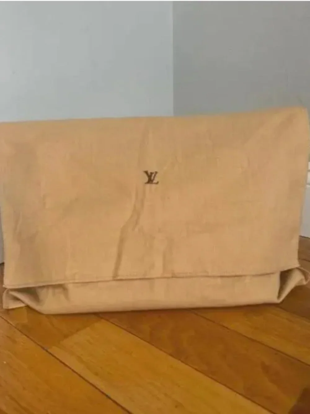 Louis Vuitton slight as #brownbag