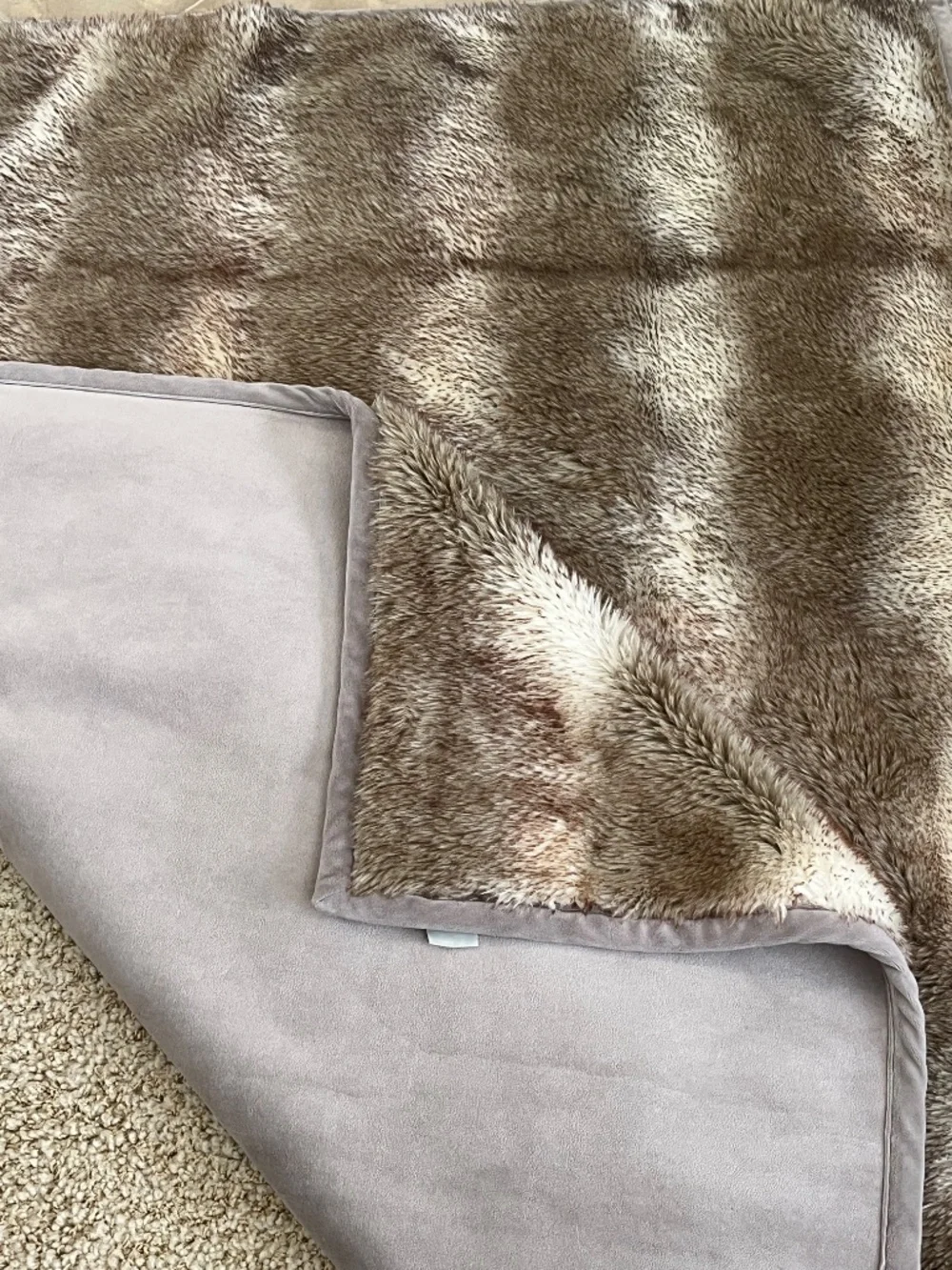 Pottery Barn taupe as
