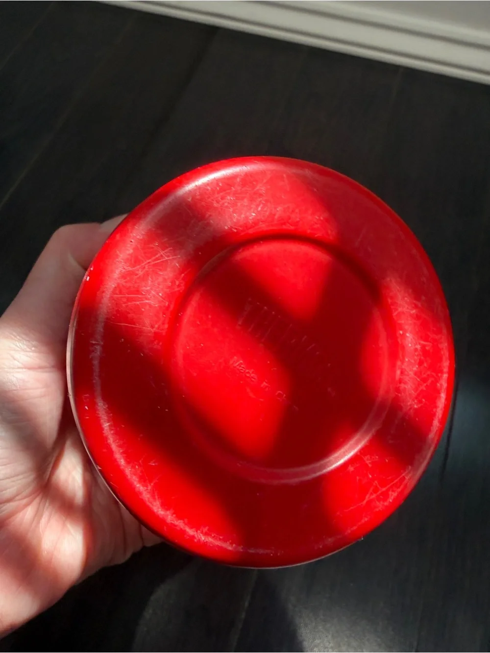 Disney well loved