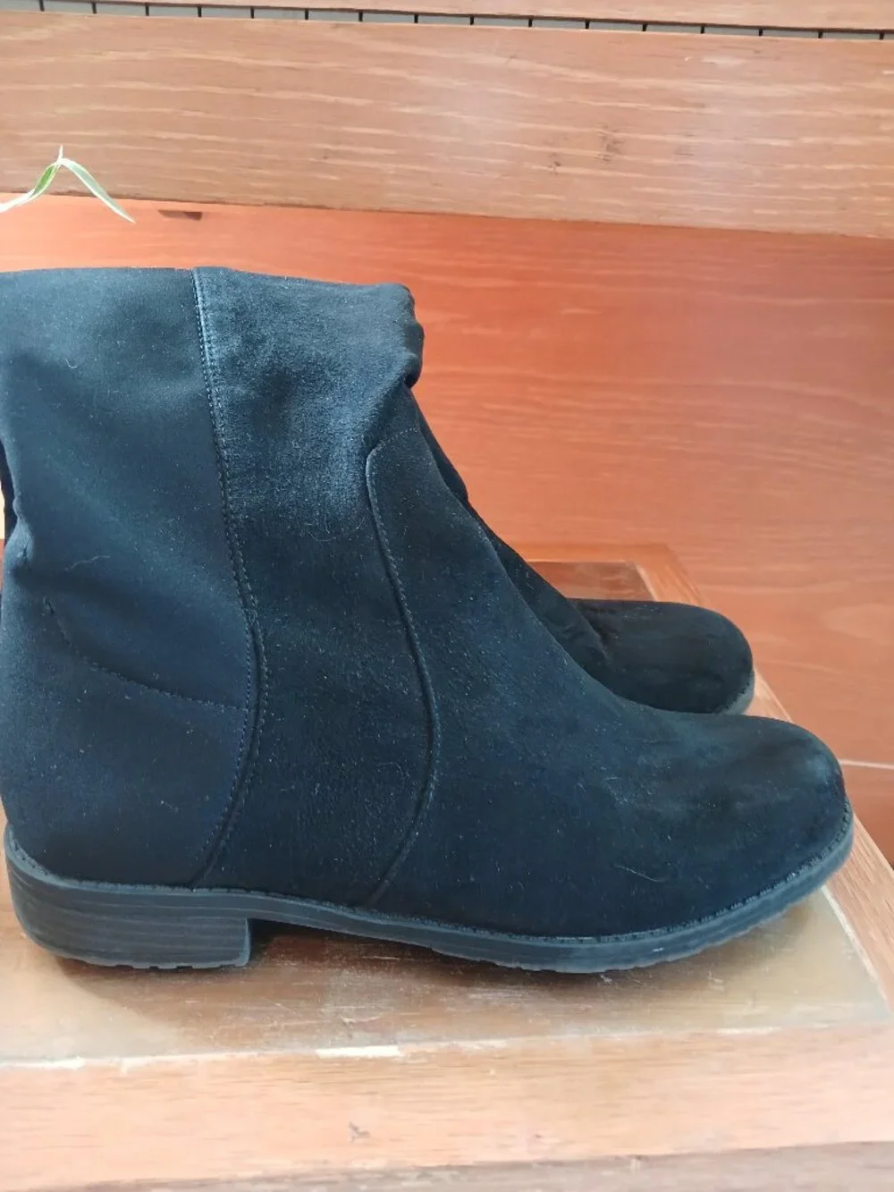 Unisa suede back