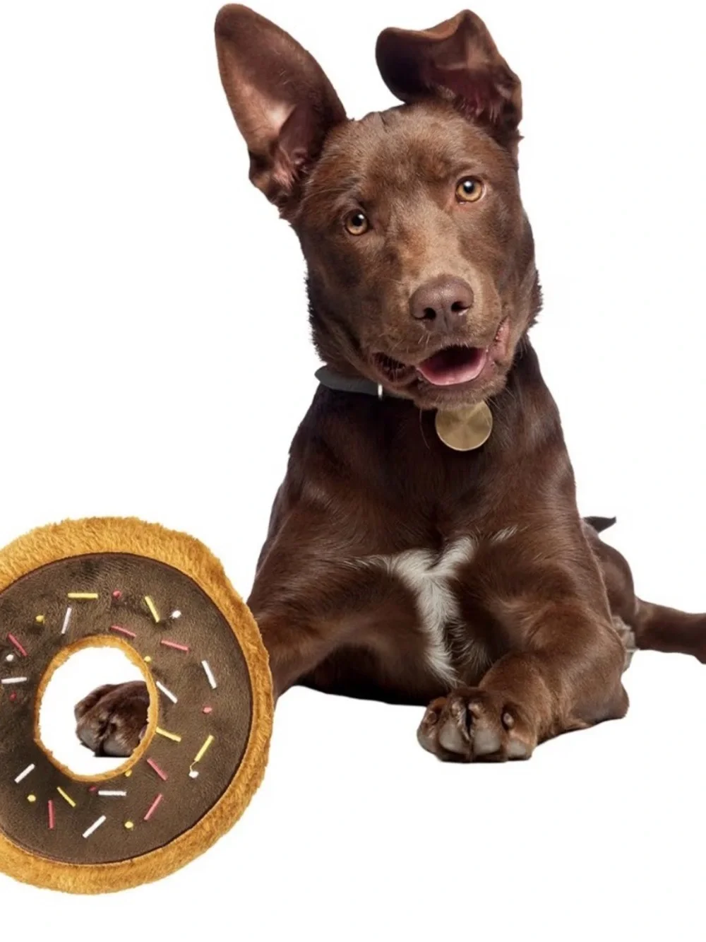Plush Donut Dog Toy - Brown Chew & Toss