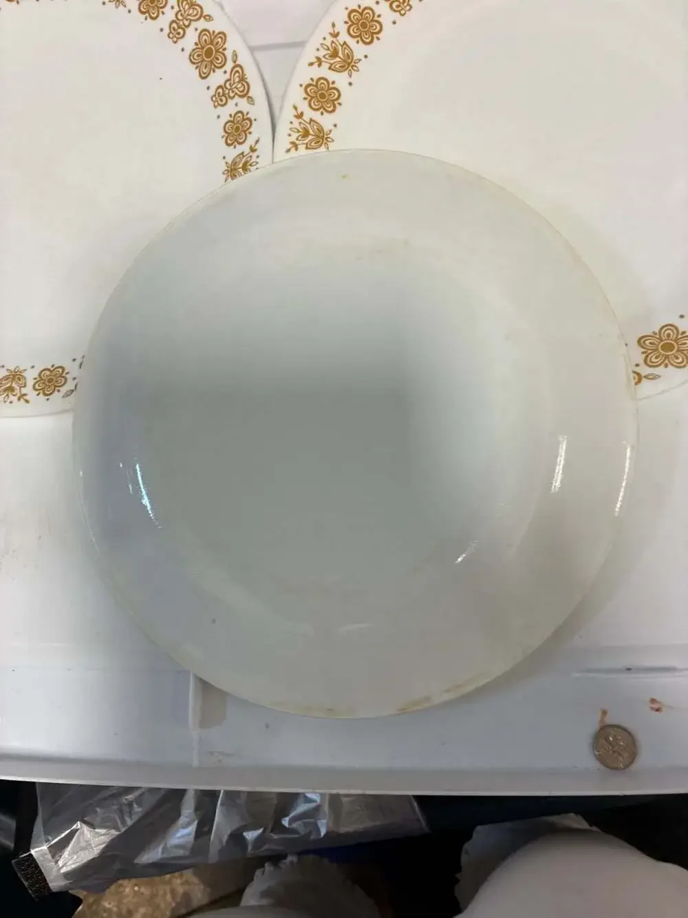Corelle used everyday
