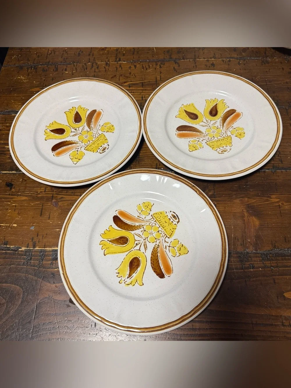 6 Vintage Hearthside Bountiful Stoneware Dinner Plates - Hand Painted Japan