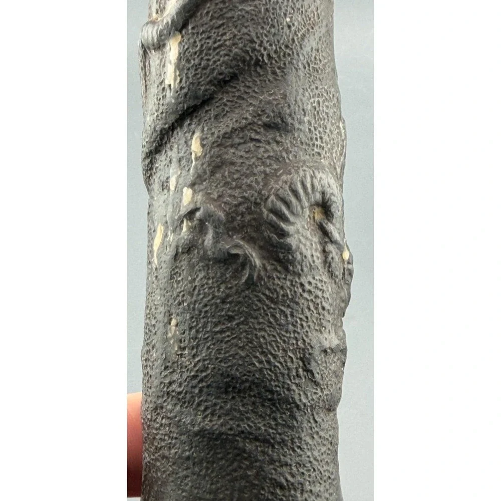 Nippon approximately age raised