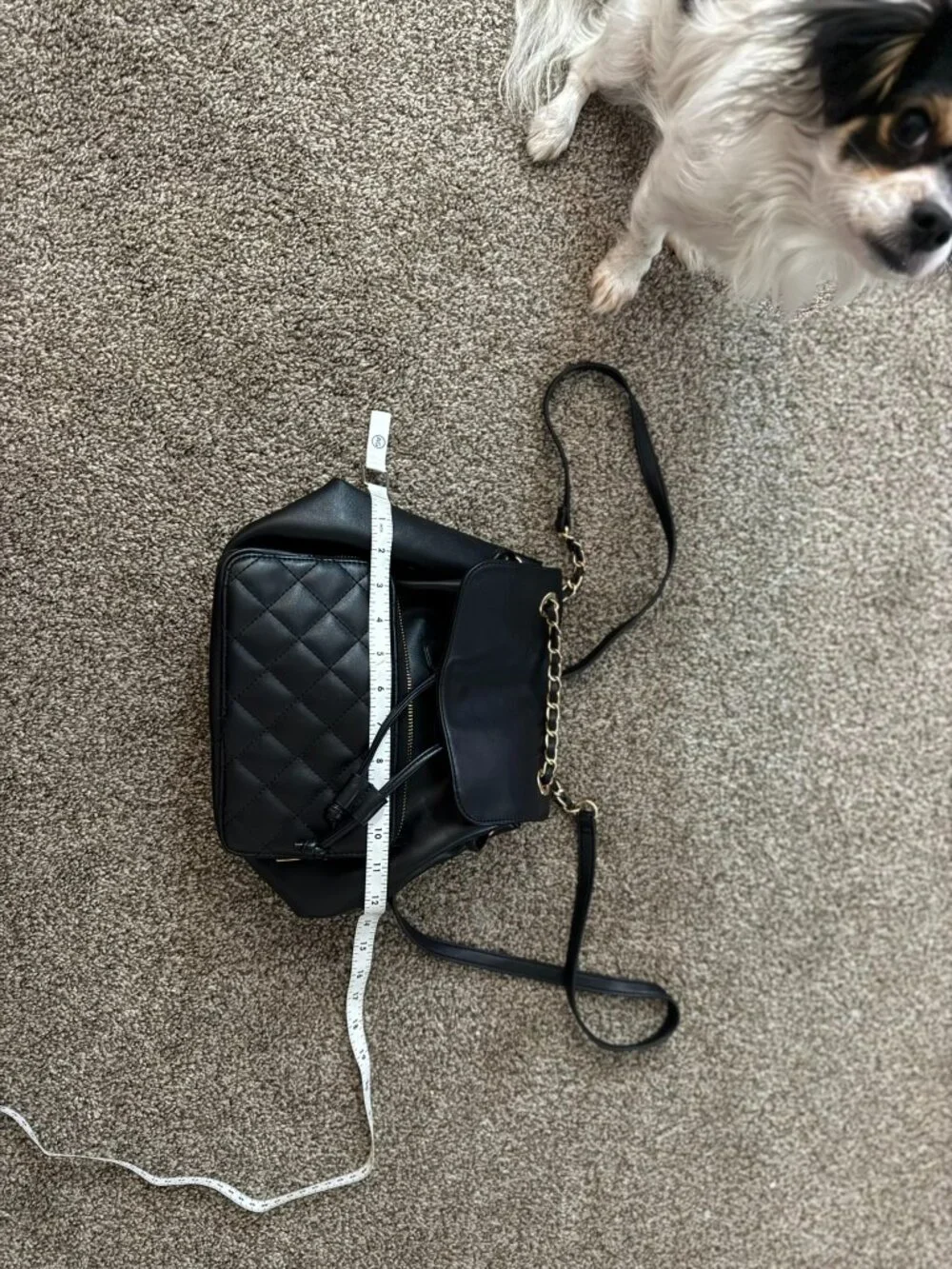 Forever 21 Black Quilted Faux Leather Mini Backpack Purse Bag Chain Drawstring