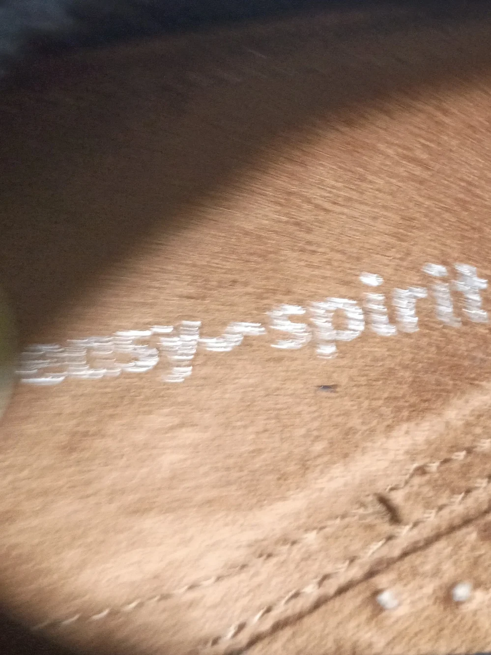 Easy Spirit esprit black