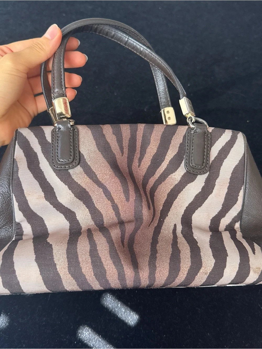 Coach Zebra-Print Canvas Satchel in Brown and Tan