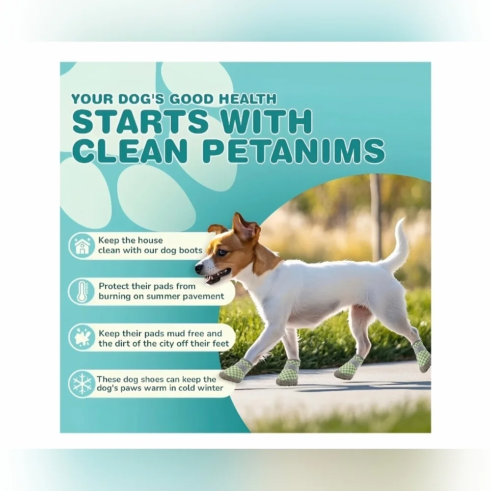 Petanims •easy off