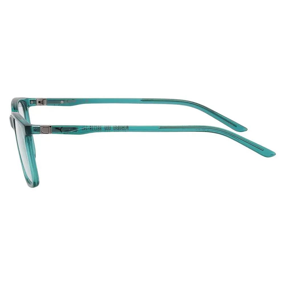 Puma brand frame