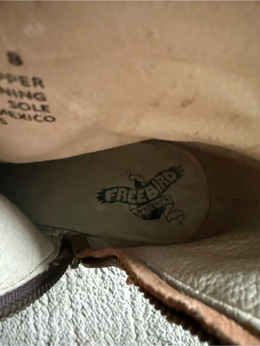 Freebird by Steven freebird by