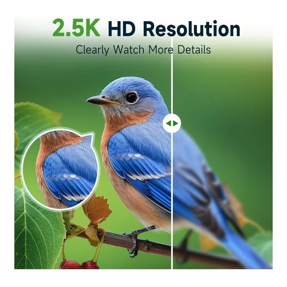 2K Smart Bird Feeder Camera, Solar, AI Bird ID, WiFi, Green