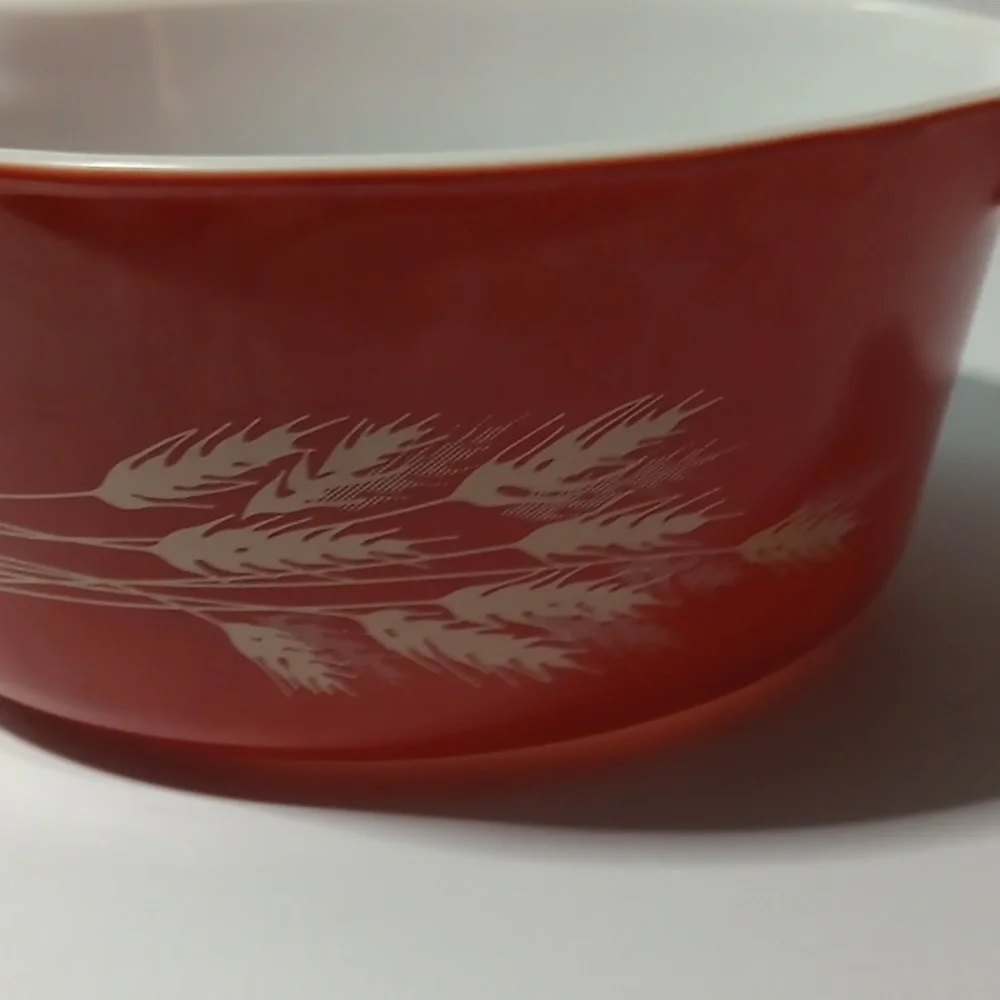 Pyrex questions leave