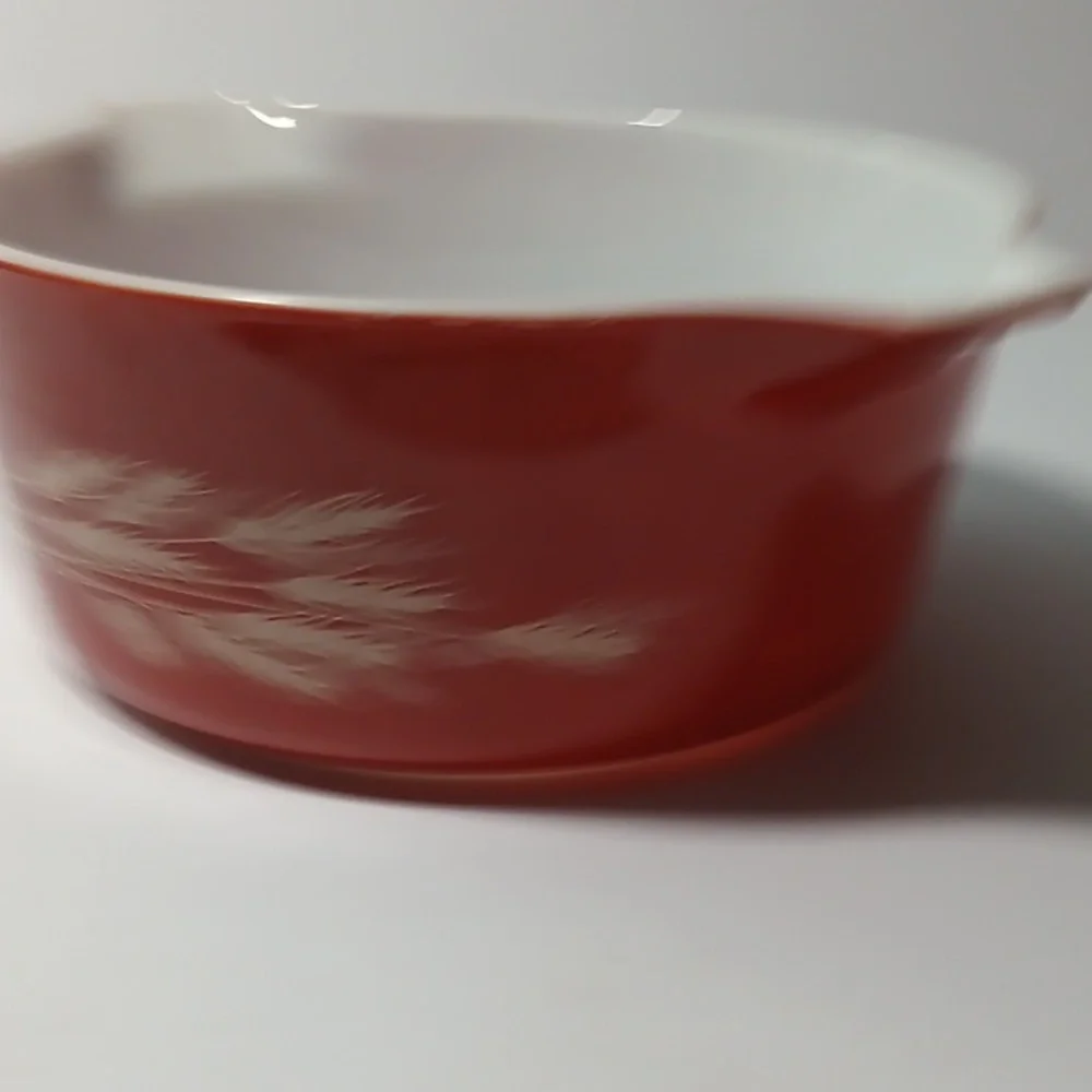 Pyrex questions leave