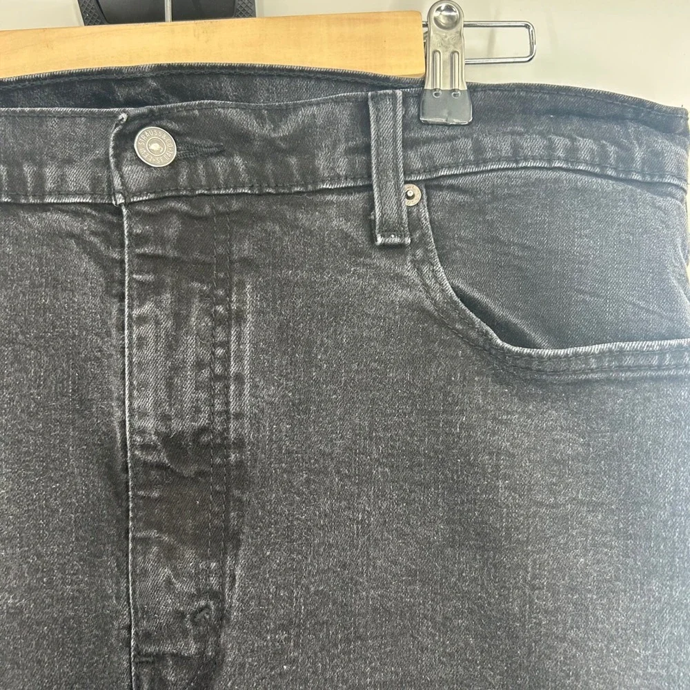 Levis levis 527