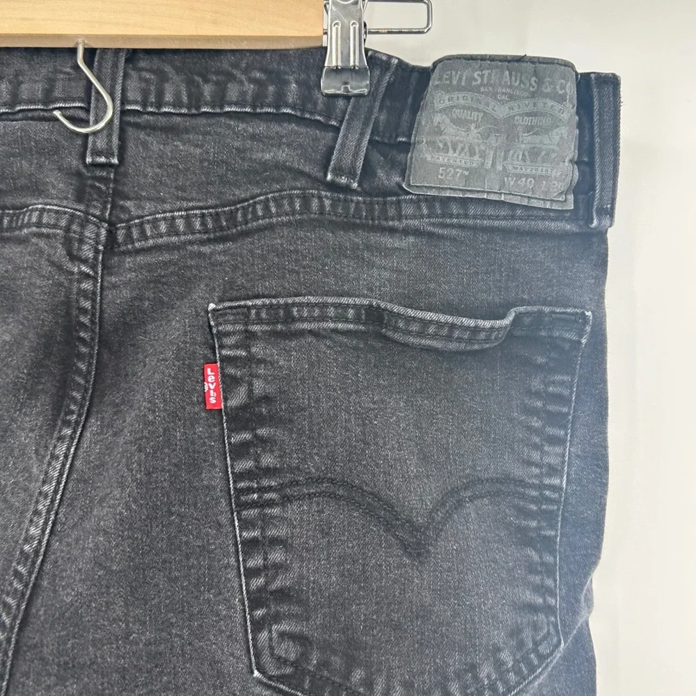 Levis levis 527