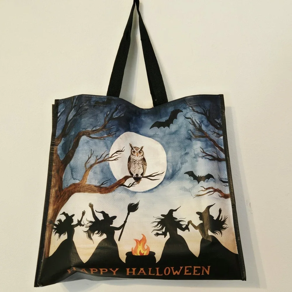 TJMaxx halloween witch