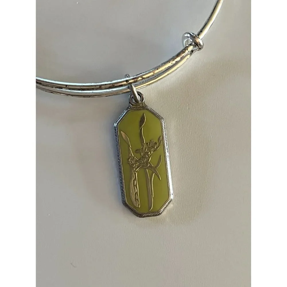 Alex and Ani alex ani