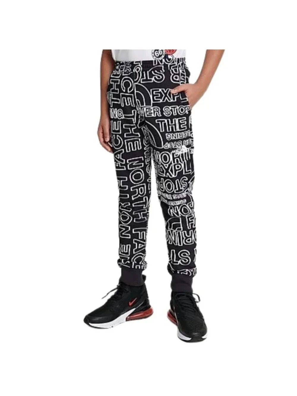 The North Face north face