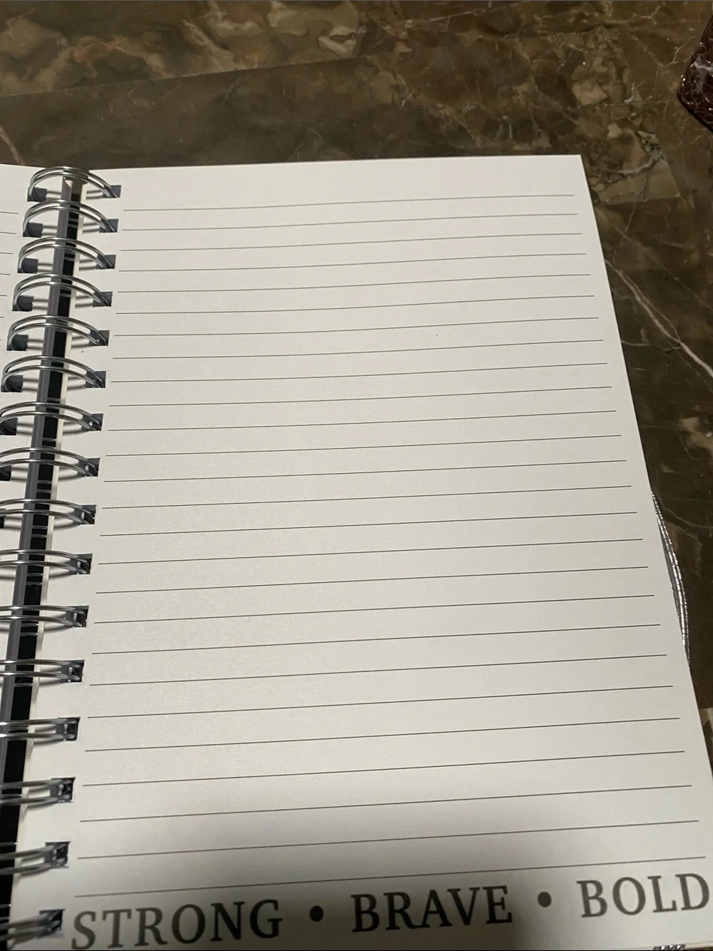 POSH + POP Silver Bow Top Ballpoint Pen and journal with stickers