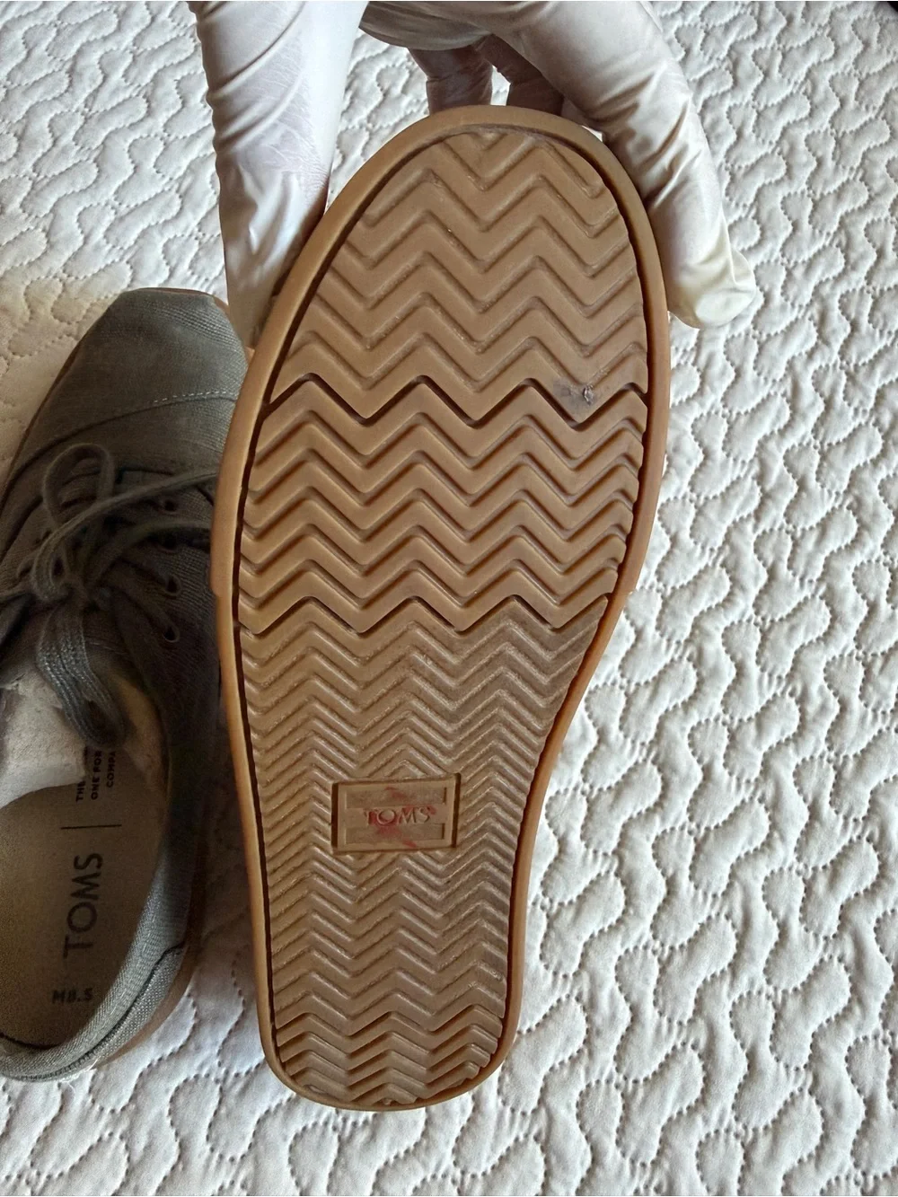 Toms gum normal
