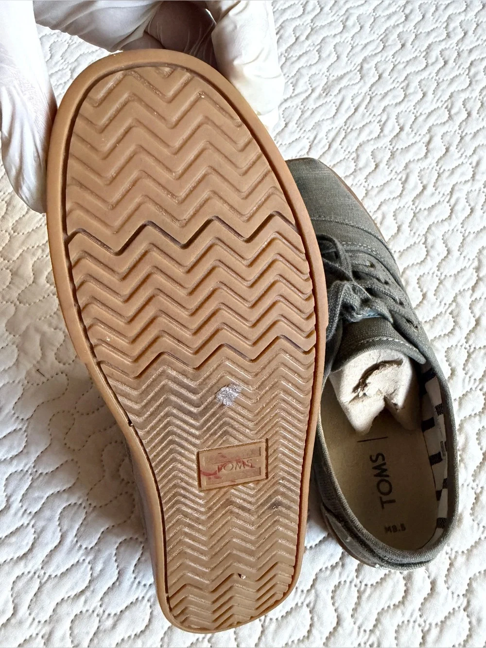 Toms sole defined laces