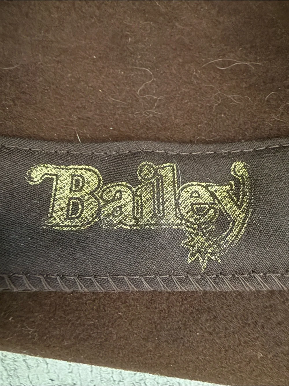 Bailey classic western