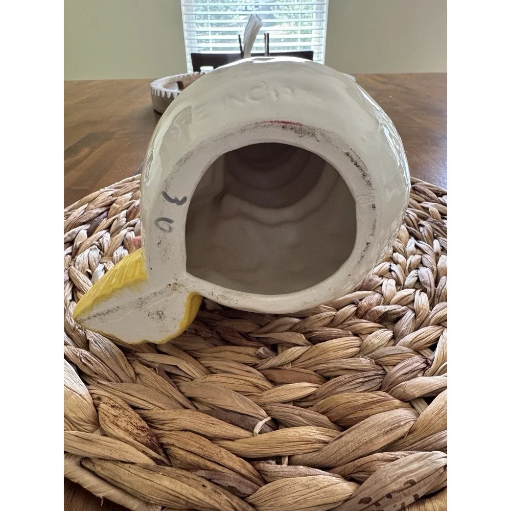 Care Inc pre owned