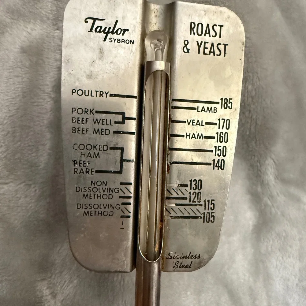 Taylor vintage sybron