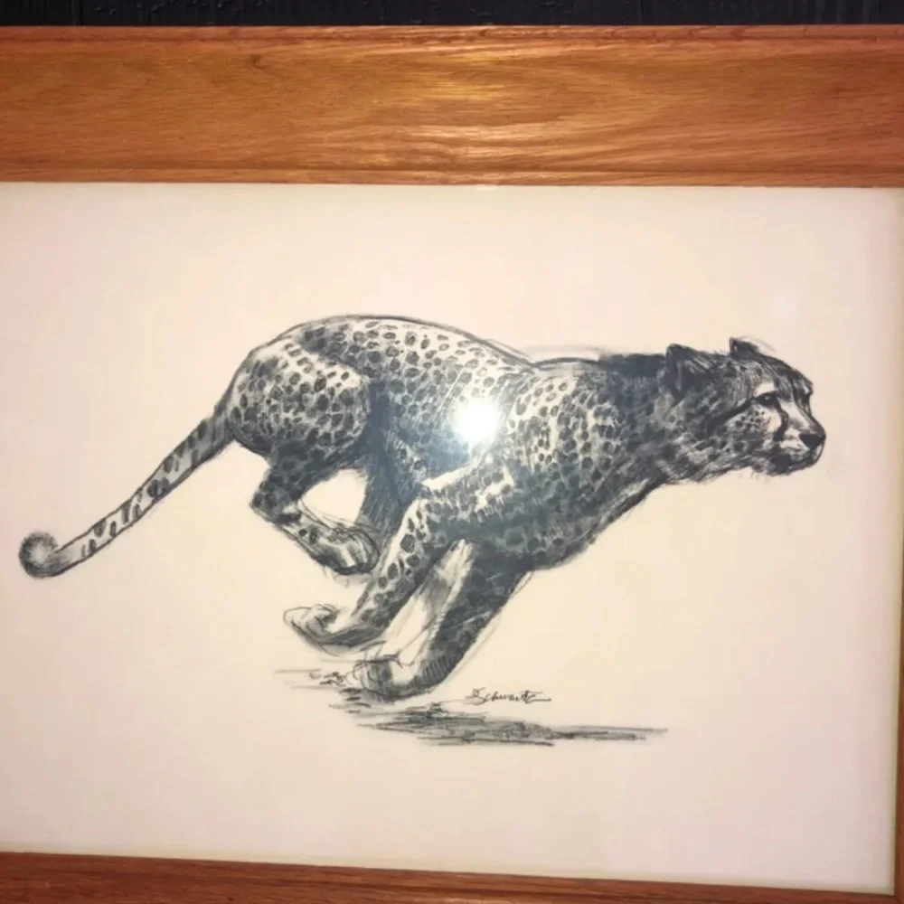 D Schwartz vintage art