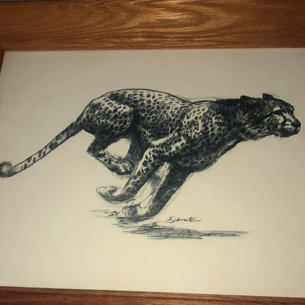 D Schwartz vintage art