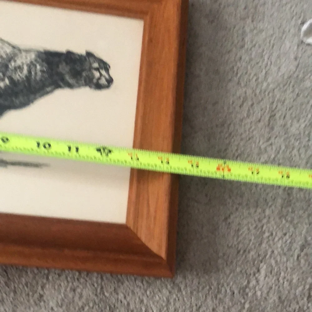 D Schwartz vintage art