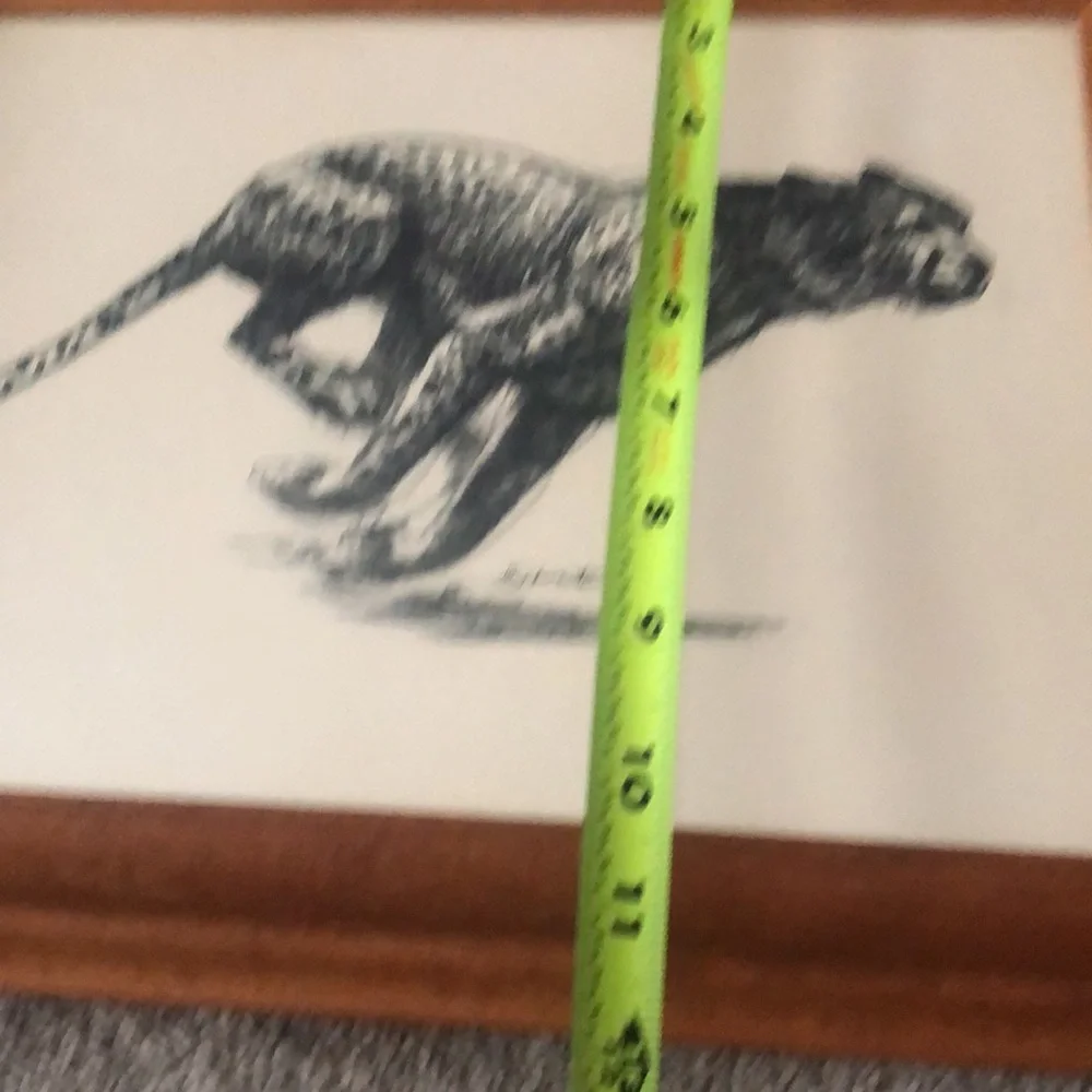 D Schwartz vintage art