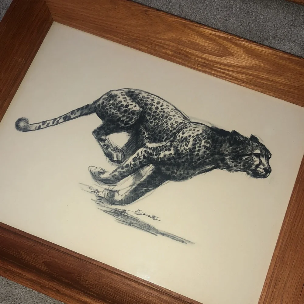 D Schwartz vintage art