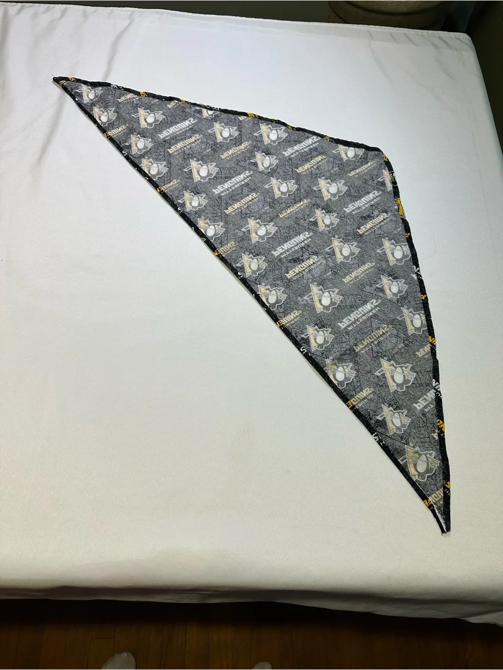 Pittsburgh Penguins Black & Gold Decorative Throw Accent