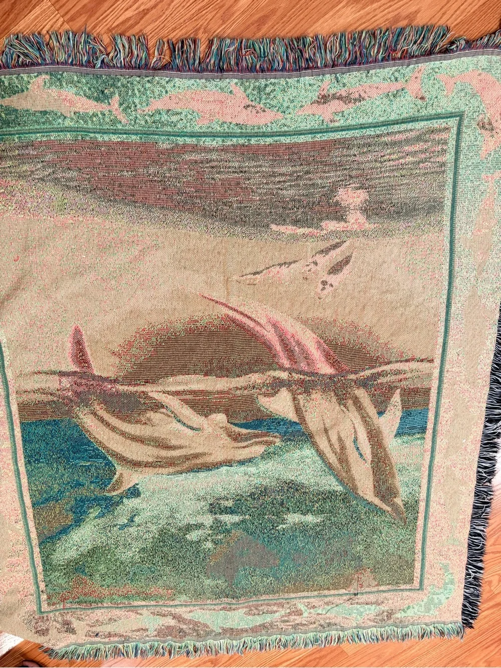 N/A soft coastal