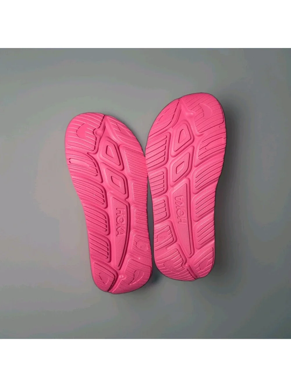 Vibrant hoka bloom