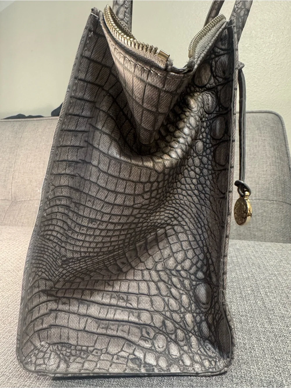 Brahmin excellent pre