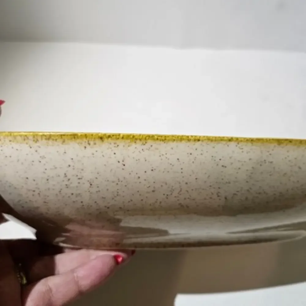 Vintage 60s Red Wing Damask Divided Vegetable Serving Dish‎ Oval 12