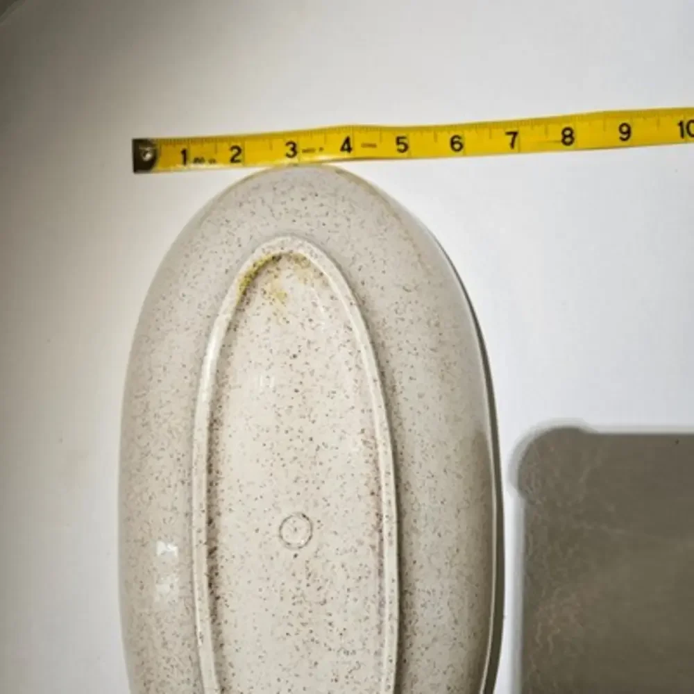 Vintage 60s Red Wing Damask Divided Vegetable Serving Dish‎ Oval 12