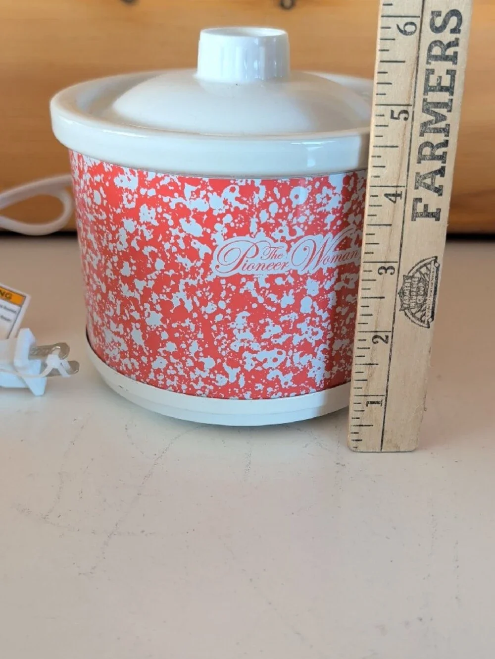The Pioneer Woman electric dip