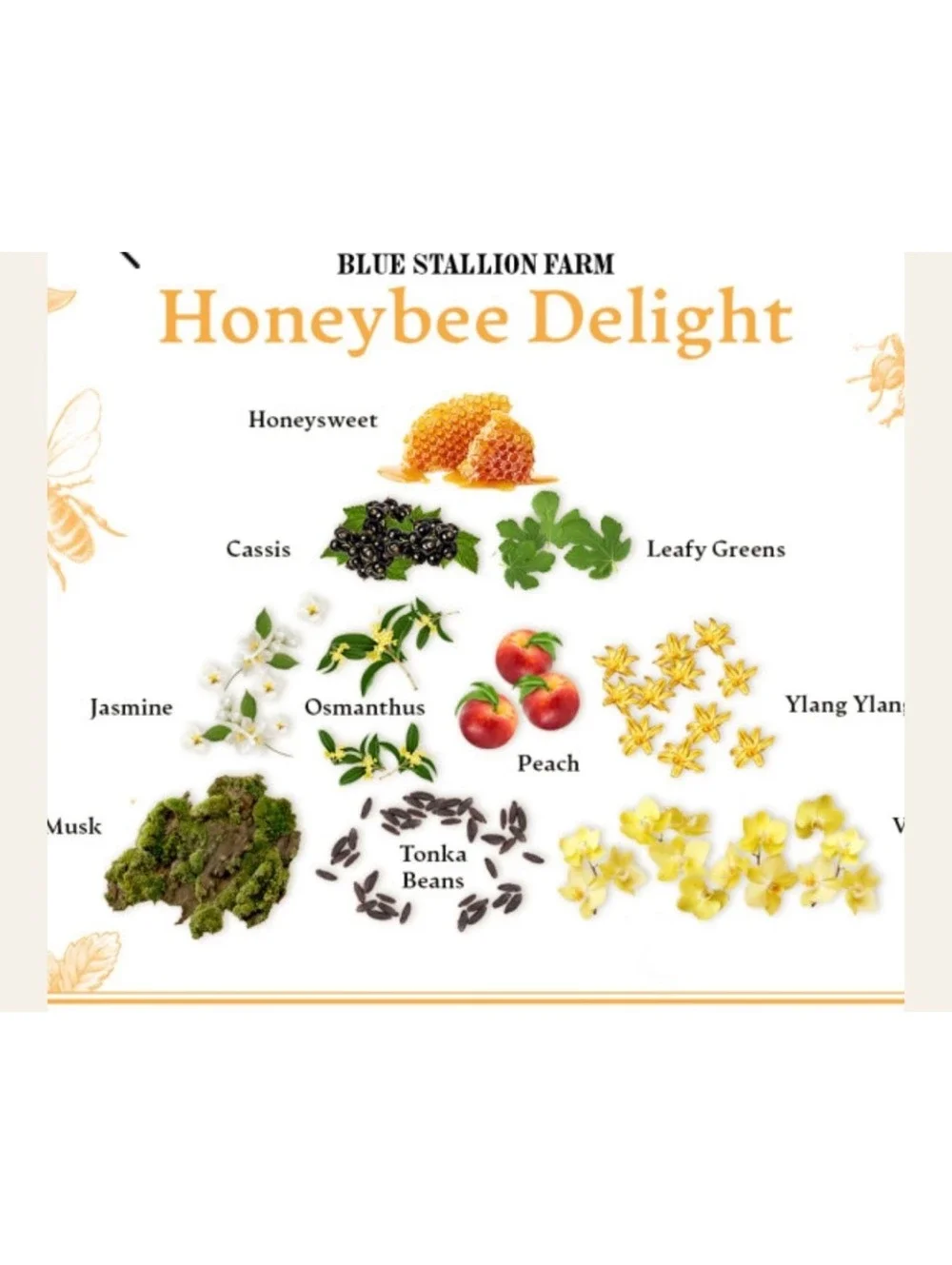 BLUE STALLION HONEYBEE DELIGHT WHIPPED BODY CREAM 300ml $24 value