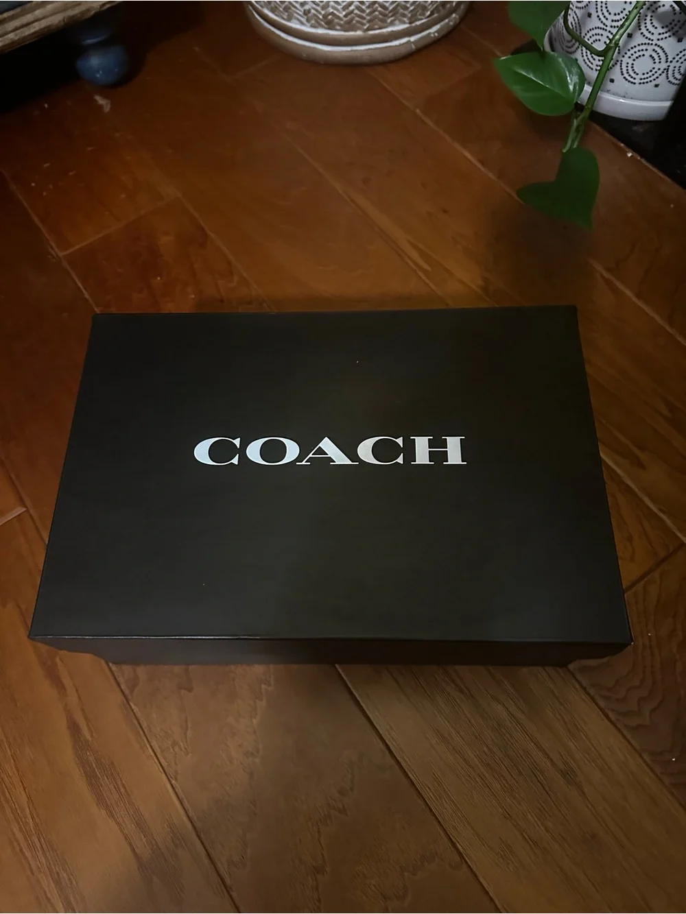 Coach elegant black