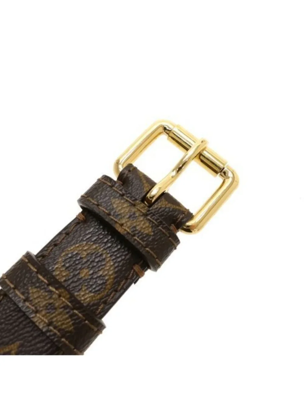 Louis Vuitton Ceinture Pochette Pouch