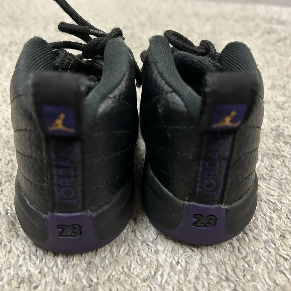 Jordan air 12