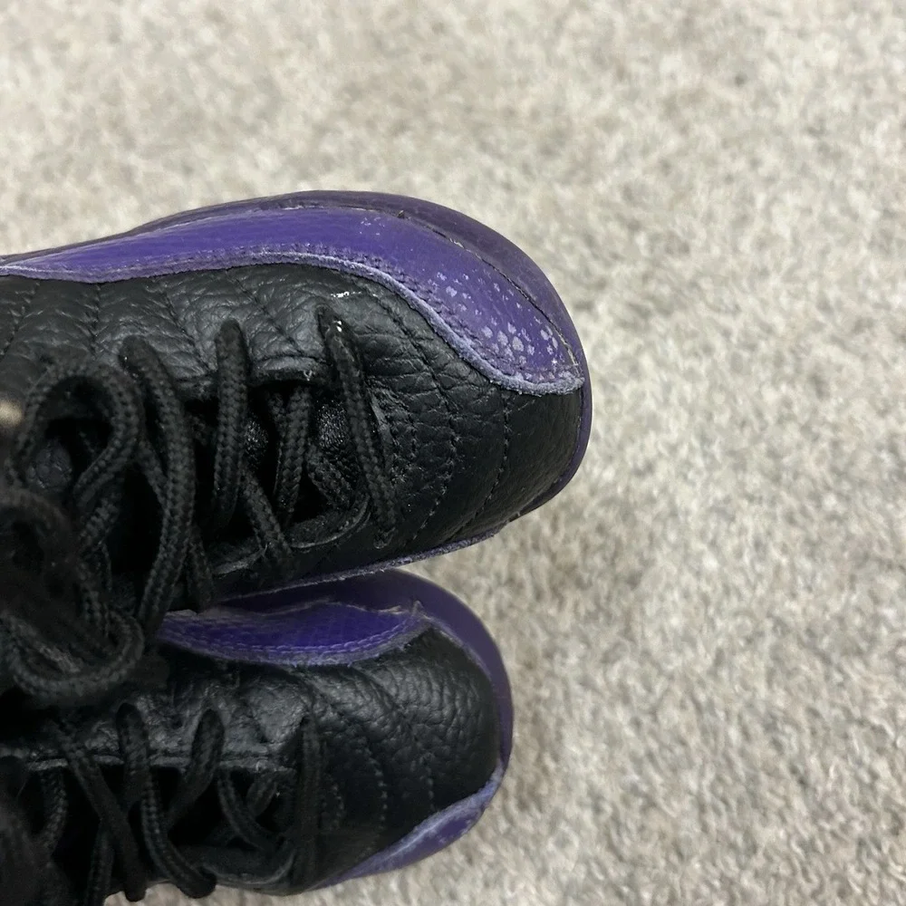 Jordan air 12