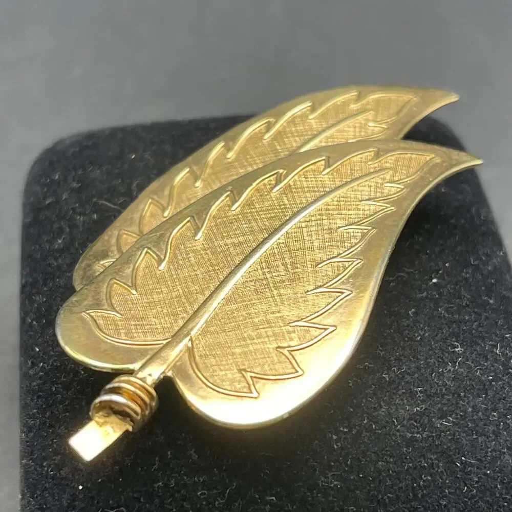 Coro pegasus gold
