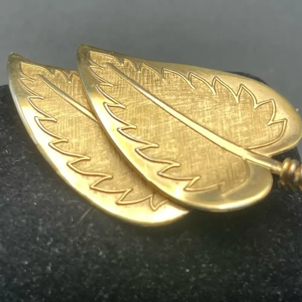 Coro pegasus gold
