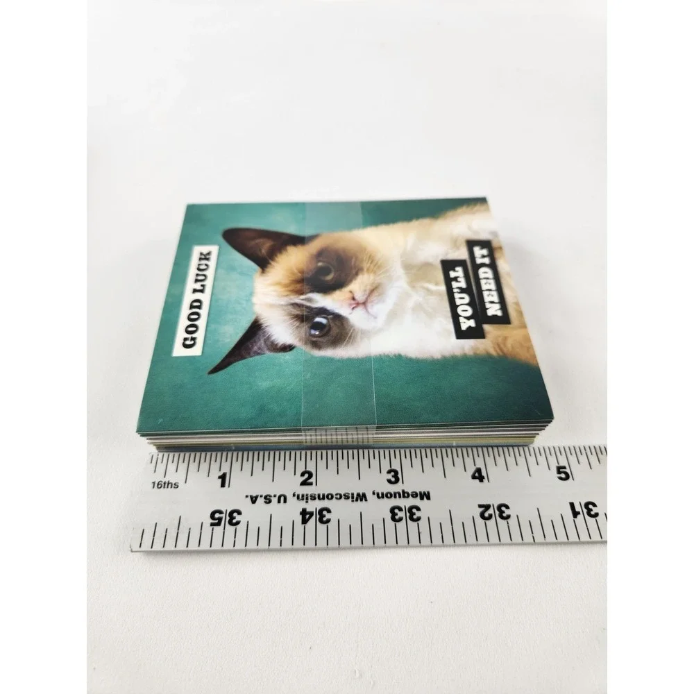 20 GRUMPY‎ CAT No Note Cards Envelope Set Internet Meme Funny Kitty Feline Art