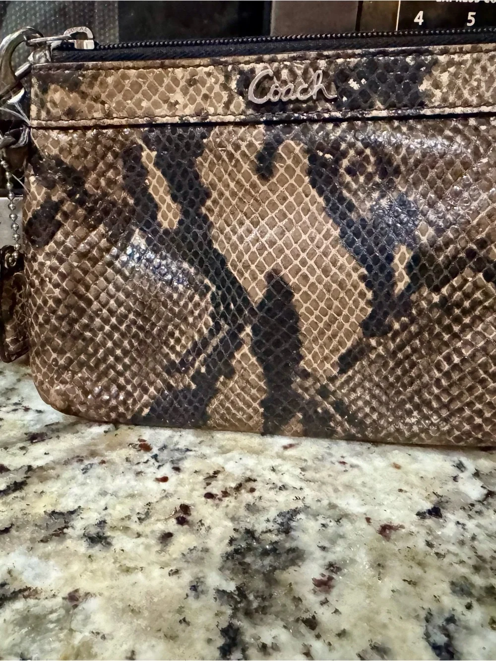 Coach detail compact