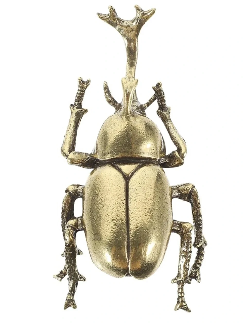 Brass Beetle Figurine - Gold Decorative Wall Accent